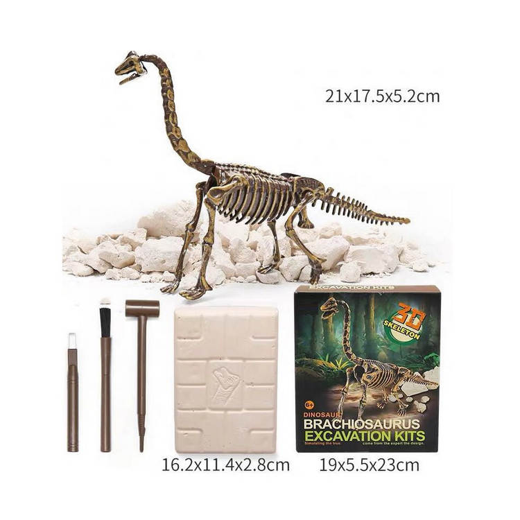 Dinosaur Skeleton 3D Dino Fossil Bones Excavation Science Kit – Michris