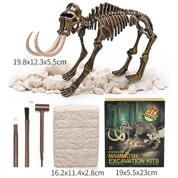 Dinosaur Skeleton 3D Dino Fossil Bones Excavation Science Kit